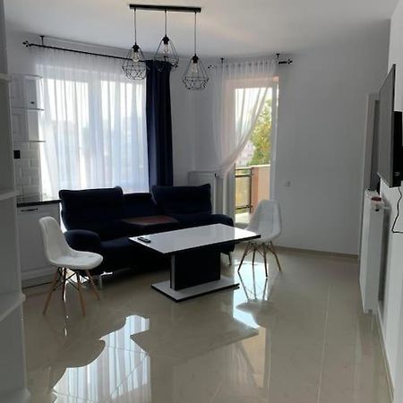 Cozy Apartment In The Center Of كلوج-نابوكا المظهر الخارجي الصورة