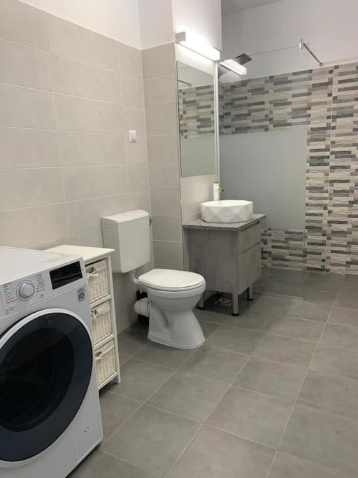 Cozy Apartment In The Center Of كلوج-نابوكا المظهر الخارجي الصورة